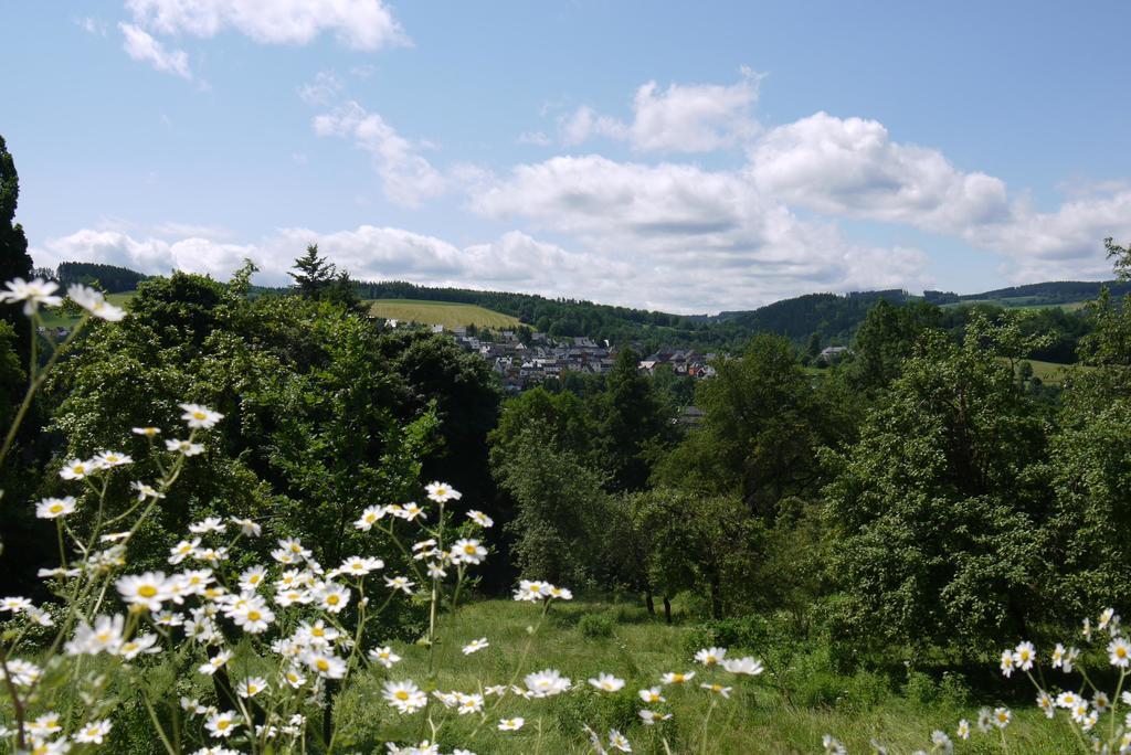 Parkhotel Schwarzenberg - Garni Екстер'єр фото