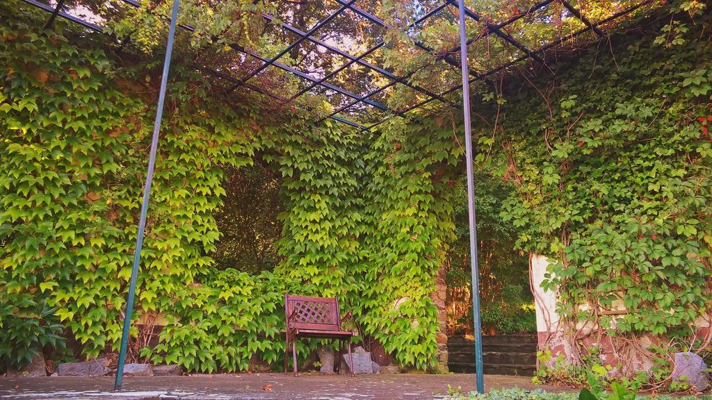 Parkhotel Schwarzenberg - Garni Екстер'єр фото